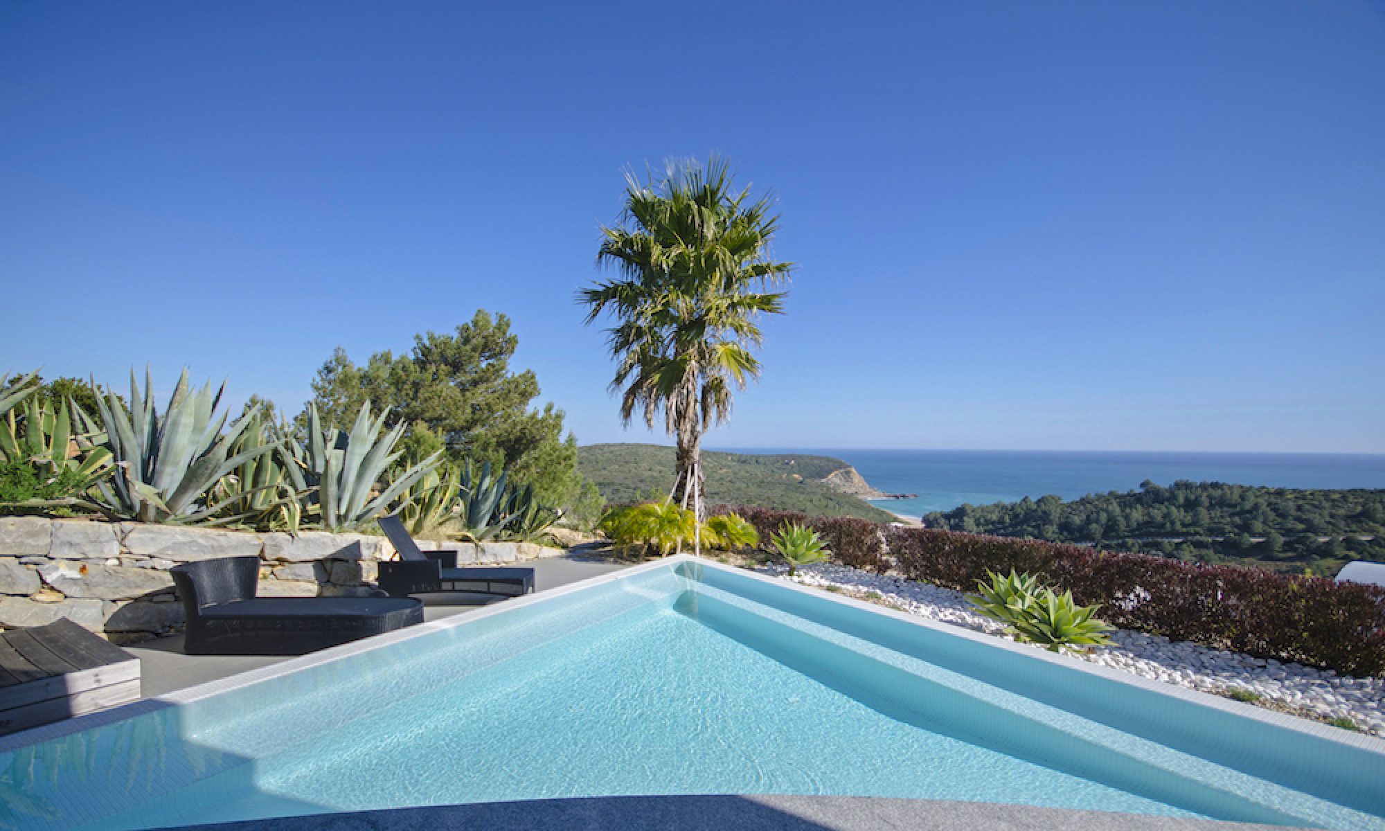 Infinity pool and palm overlooking the coastline at a luxury property